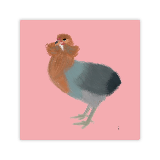 Araucana Rosa