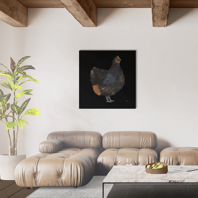 Australorp 