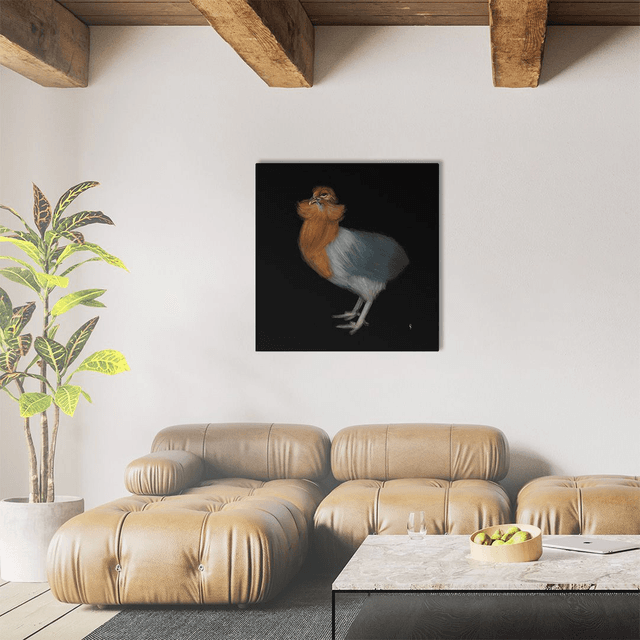 Araucana